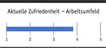 zufriedenheit_arbeitsumfeld_allg.jpg